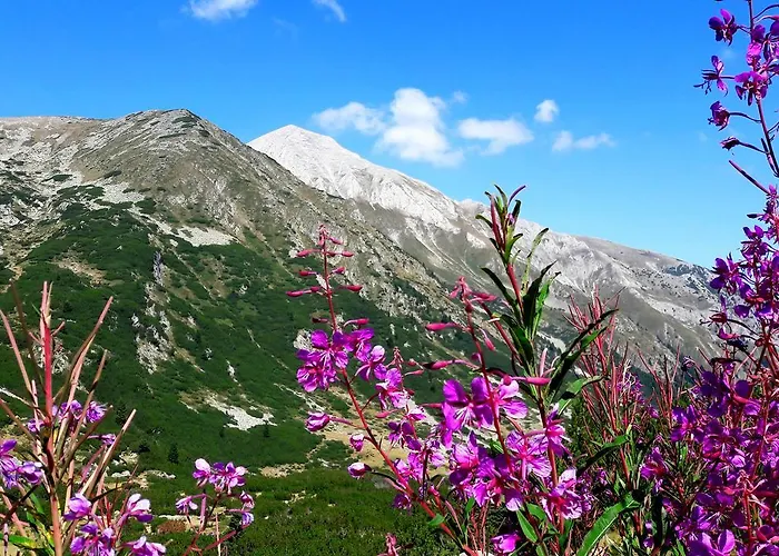 In Infinity Apartment Bansko