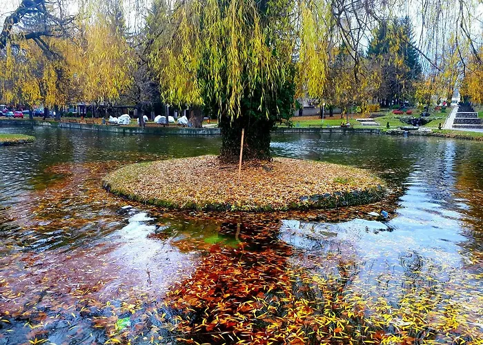 In Infinity Apartment Bansko