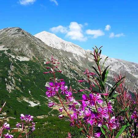 In Infinity アパート バンスコ