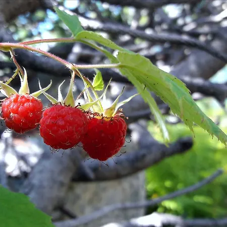 In Infinity Διαμέρισμα