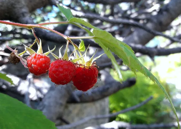 In Infinity Apartman